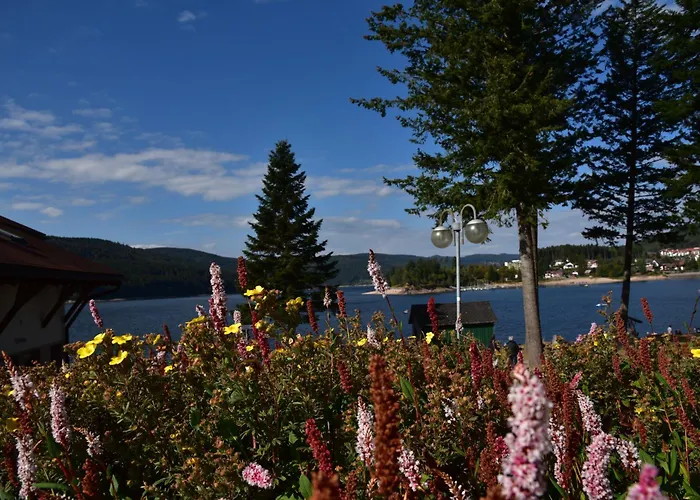 Apartment Eisenhauer In Schluchsee