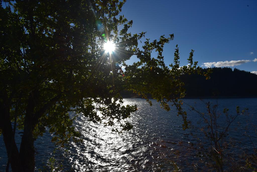Eisenhauer In Schluchsee