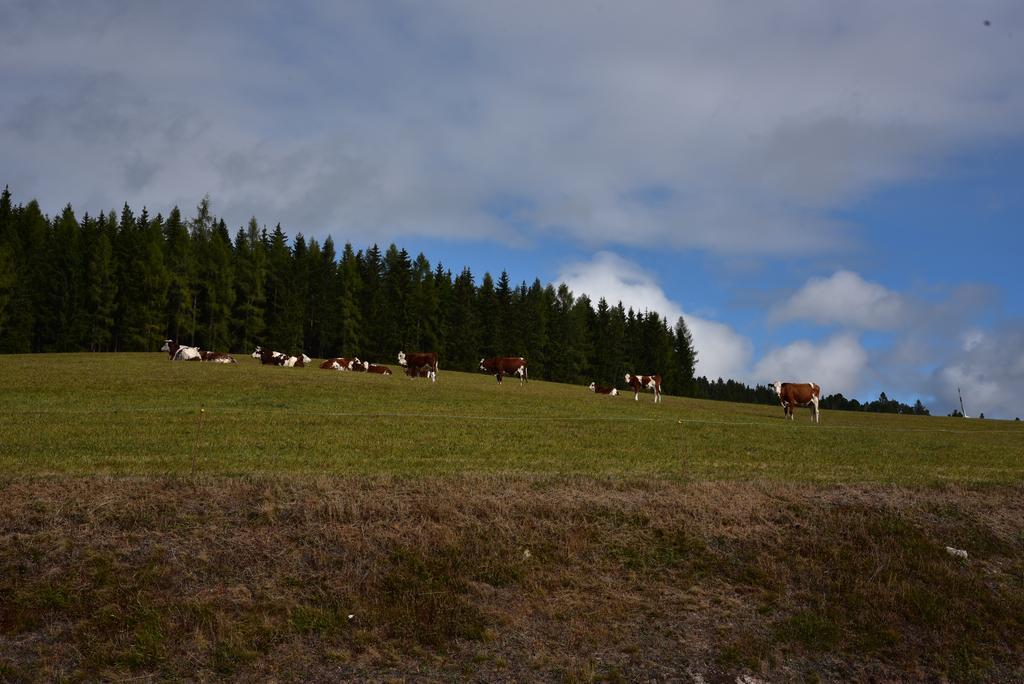 Eisenhauer In Schluchsee