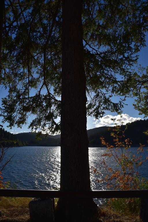 Apartament Eisenhauer In Schluchsee