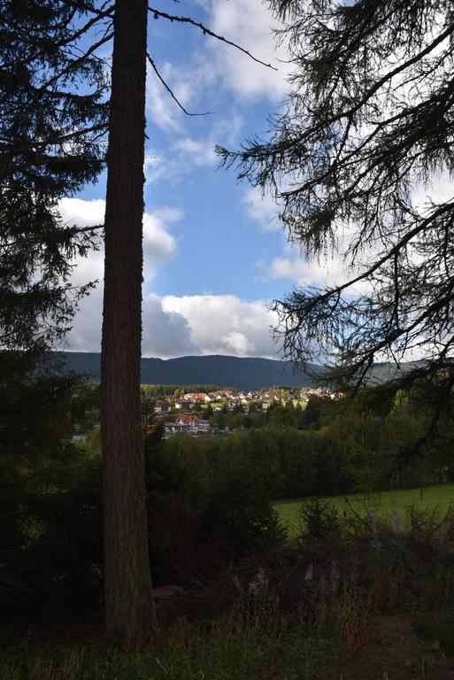 Apartament Eisenhauer In