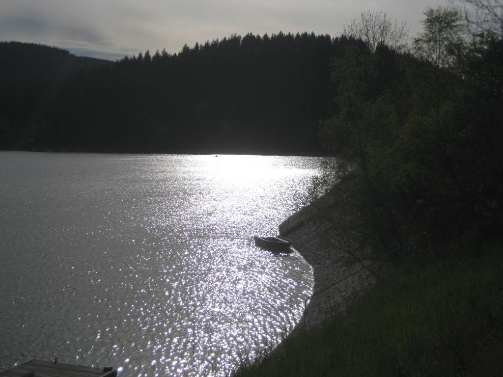 Eisenhauer In Appartement Schluchsee