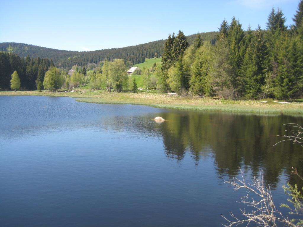 Eisenhauer In *